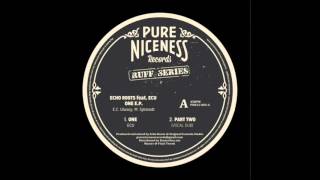 Echo Roots ft. ECU - One - Pure Ruffness aka Pure Niceness Records 12