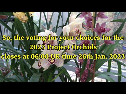 2023 Project Orchids - Some Guidance and the Cut Off Point