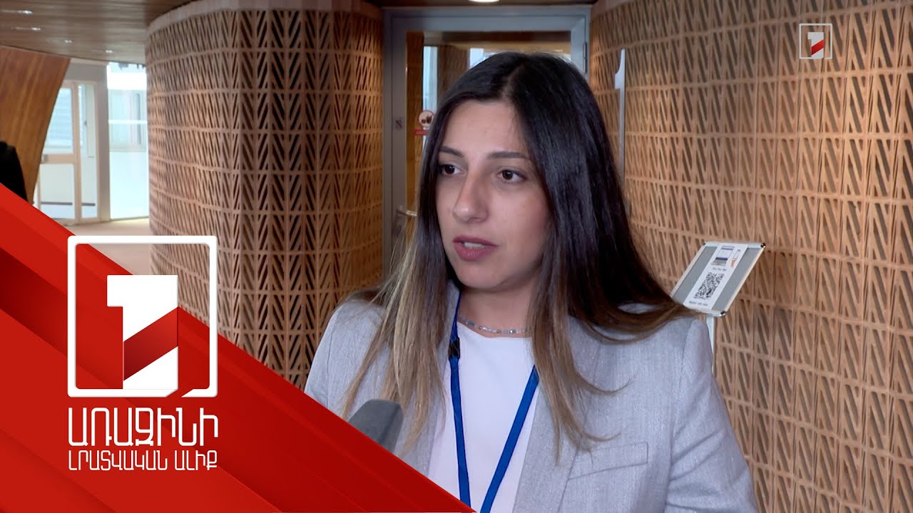 ԵԽԽՎ-ում գործընկերները խաղաղության գործընթացը դրական լույսի ներքո են տեսնում. Հռիփսիմե Գրիգորյան