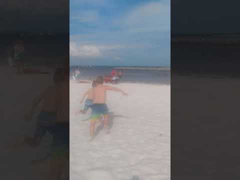 pcb st. Andrews beach, august 2021