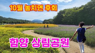 천년의 숲, 함양 상림공원, 10월에 가볼만한곳, 9월가볼만한곳, 9월 추천여행지, 10월 여행지, 경남가볼만한곳, 함양여행지추천