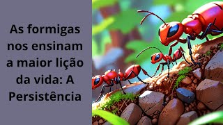 A Sabedoria das Formigas