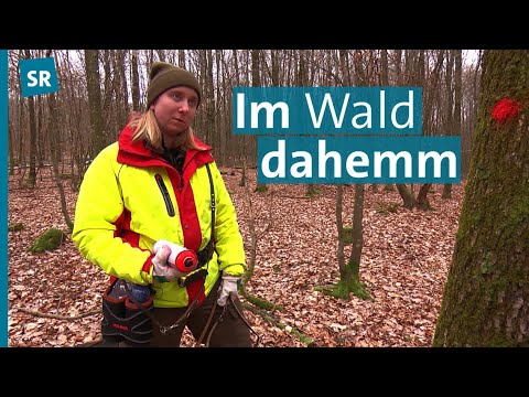 Försterin im Saarforst - Mit Hannah Sieren im Revier 16 in Furpach unterwegs