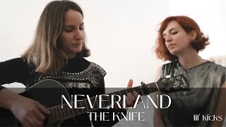 The Knife - Neverland (cover)