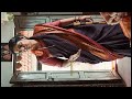 Pushpa Fame Kalpa Latha Navel Actress Unseen Navel Actress Navel