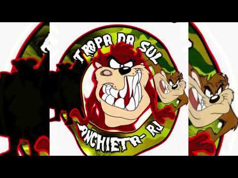 TURMA - TROPA DA SUL 2024