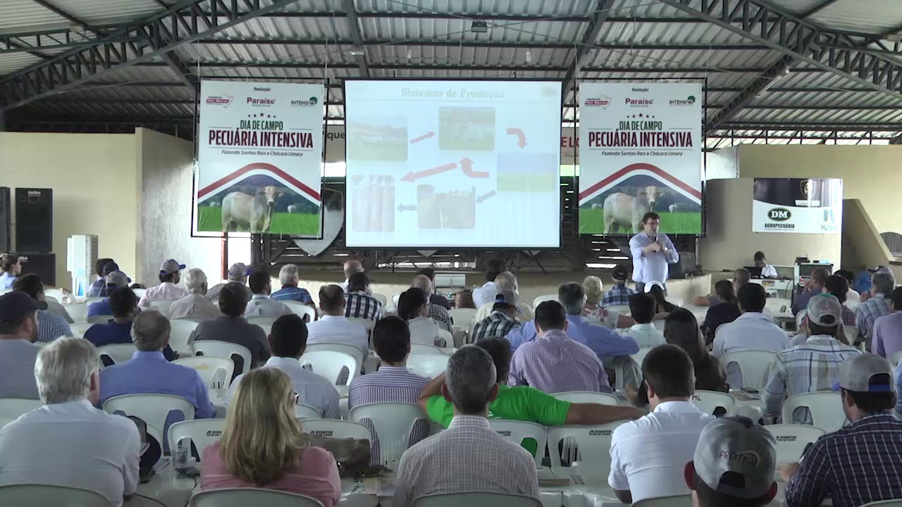 Pecuária Intensiva - Palestra Flavio Resende