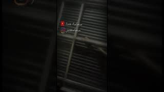 Download lagu Story Wa Adista Perasaanku mp3