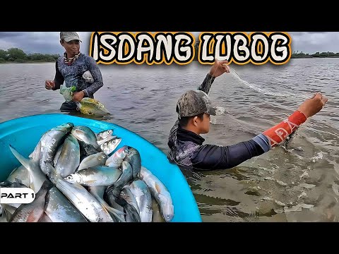 P1-Isdang Lubog - EP1056