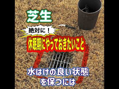 芝生の上に砂を敷く理由：知っておくべきこと！  庭園