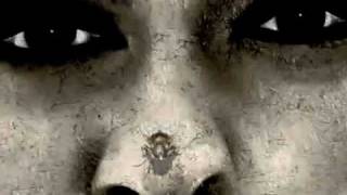 The Legendary Pink Dots - Kingdom of the Flies