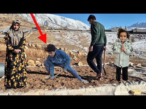 Security Ceiling: Afsaneh Khanum's Journey to the Warmth of Home in the Heart of Winter Cold