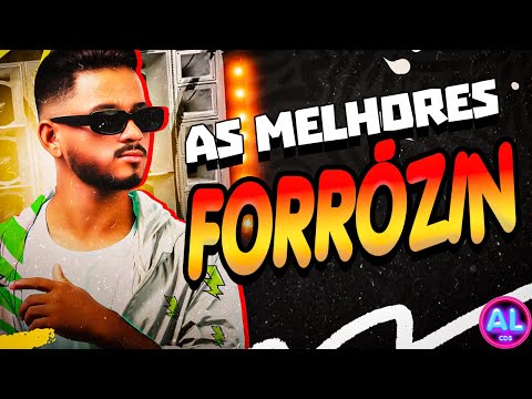 FORRÓZIN AS MAIS TOCADAS 2024 - AS MELHORES NOVEMBRO 2K24 - MÚSICAS TOPS PRA PAREDÃO - DJ MELK