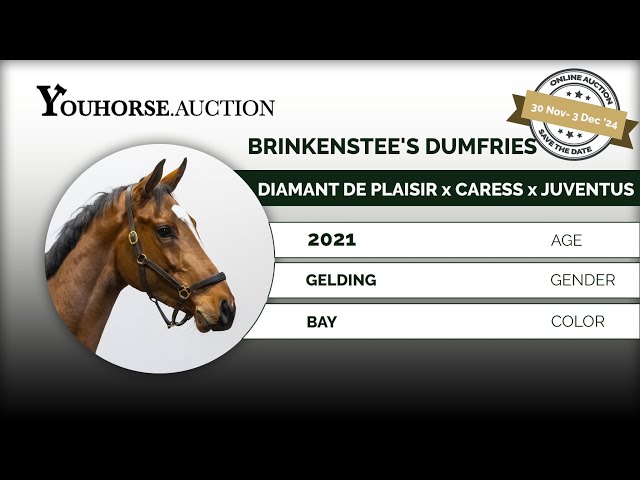 Brinkenstee's Dumfries