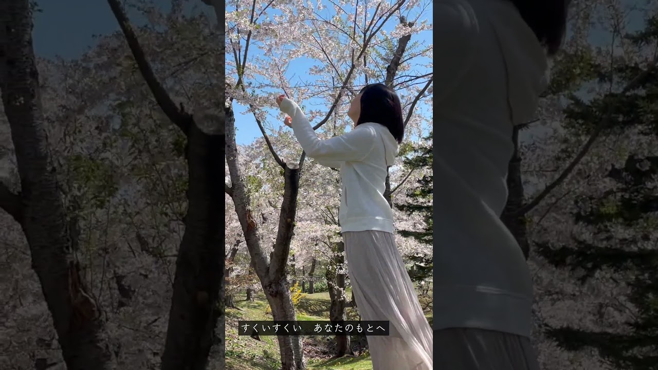 「おもひではらり/MAYU」桜のうた🌸