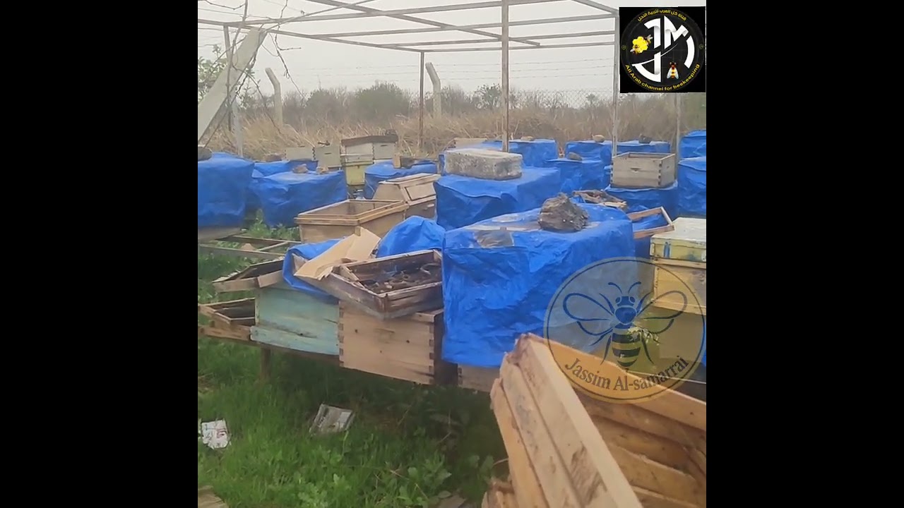 التقاسيم في شهر ابريل الرابع نيسان 