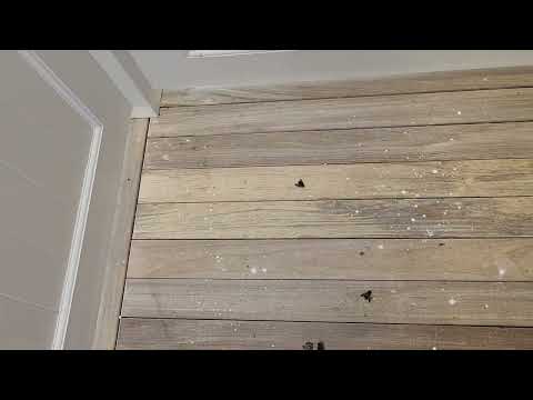 Carpenter Bees Ruining Pergola in Freehold, NJ