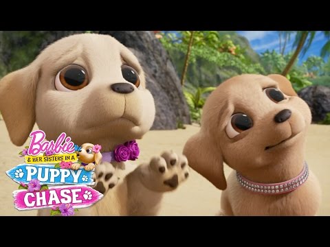 download lagu mp3 mp4 Funny Puppy Cartoons, download lagu Funny Puppy Cartoons gratis, unduh video klip Funny Puppy Cartoons