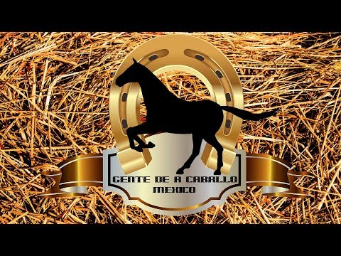 Gente a Caballo Programa 2 Temporada 2