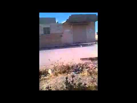 اشتباكات بين عناصر لواء أحرار الشمال وقوات النظام في محافظة حلب