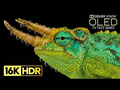 Mind Blowing 16K Video ULTRA HD 120 fps | 16K HDR Dolby Vision (8K/4K OLED TV)
