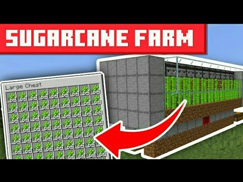Minecraft Sugar Cane Farm 1.19.3 - EASY DESIGN