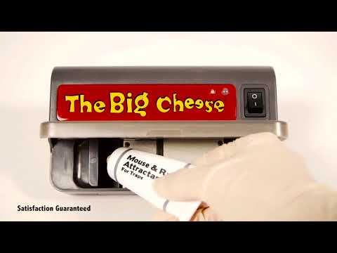 Big Cheese Ultra Power Elektrikli Fare Öldürücü Cihaz (STV Türkiye Distribütörü)