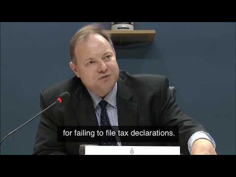 Toine Manders on Taxation. Panama Papers Hearing. English Subtitles.
