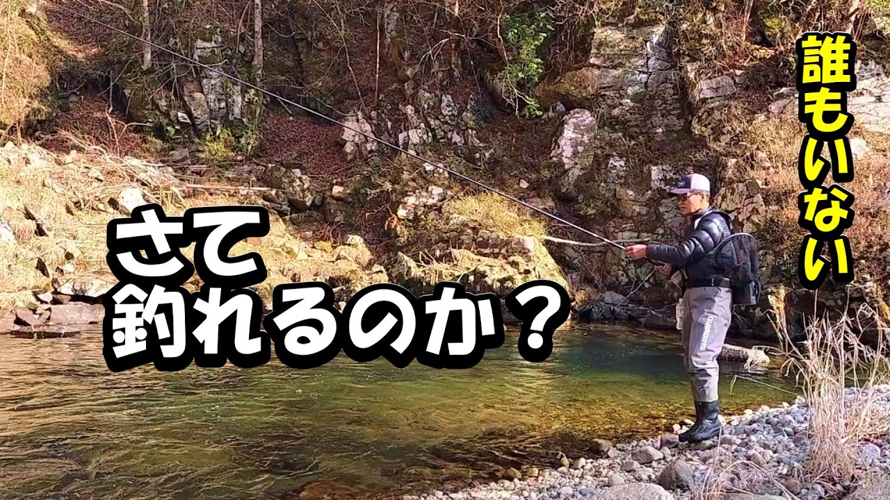 【渓流釣り】久しぶりの川に行ってみたら貸し切りだった【餌釣り】長野県 売木川