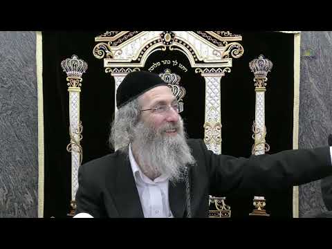 אז מען גייט לערנען ווערט מען א אדם גדול R' Elimelech Biderman