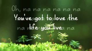 Jason Damato - Life you love - Lyrics video