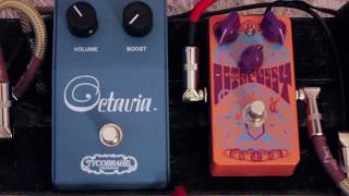 Video thumbnail for Bedroom Level Crawler Pt 21 - Catalinbread Octapussy vs Tycobrahe Octavia by Bluesman