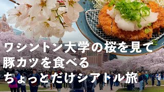 桜を見にシアトルへ行ってきました、サクッと豚カツを食べて、ニンテンドーアメリカ、宇和島屋など