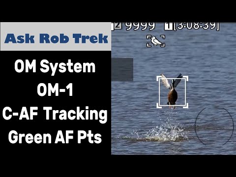 OM Systems OM-1 C-AF Tracking Modes, AIAF & Greener Focus Points ep.432