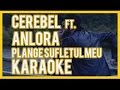 CRBL feat. Anlora-Plange sufletul meu Karaoke ...