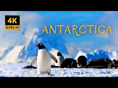 ❄️ ANTARCTICA 4K - 4K ANTARCTICA STUNNING VISUALS WITH AMBIENT MUSIC 🌨☃️❄️