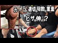 意外と知らない カーフ(ふくらはぎ)の適切な回数と重量は?