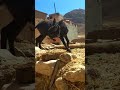 Donkey Blowjob