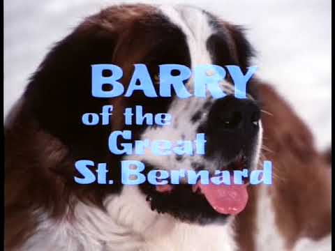 Barry of the Great St  Bernard (1977) The Wonderful World of Disney