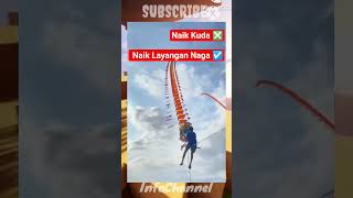 Download lagu Mungkin Lagi Nyidam Pengen Terbang 😀😀😀 #shorts #feedshorts #videolucu #videounik #videoviral mp3 Download lagu Mungkin Lagi Nyidam Pengen Terbang 😀😀😀 #shorts #feedshorts #videolucu #videounik #videoviral mp3