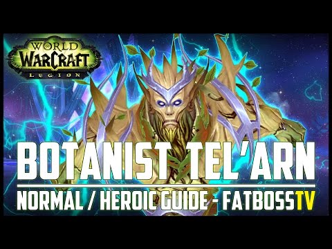 High Botanist Tel'arn Normal + Heroic Guide - FATBOSS