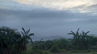 Download lagu Sittio, Ungga Baras Rizal. (Falls Sa Rizal) maiksi lang yung video. mp3