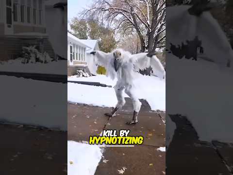 This is the most Dangerous Bird In the World 😱 !!!