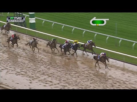 RACE REPLAY: 2015 Darley Alcibiades at Keeneland