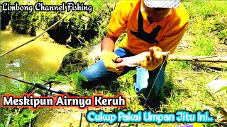 Download lagu Umpan Jitu Mancing Lele Di Air Keruh mp3