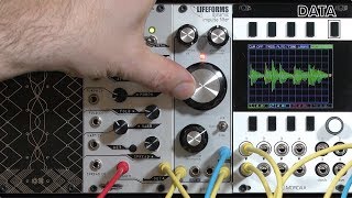 Video thumbnail for Lifeforms Dynamic Impulse Filter: Processing Percussion (LMS: Eurorack Expansion Preview) by Chris Meyer's Alias Zone + Learning Modular