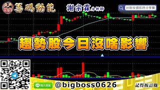 【大戶羅盤籌碼動能】 #謝宗霖0512，趨勢股今日沒啥影響 (圖)