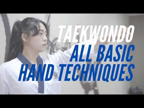 Taekwondo Basics: All Basic Hand Techniques