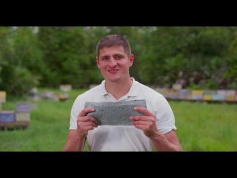 Beyond the Pines Studios & Productions video.