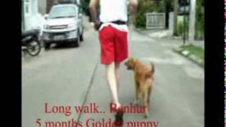 sit longwalk shakehand.mpg